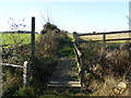 TM3375 : Footpath to Mary's Lane by Geographer