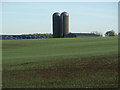 Animal feed silo