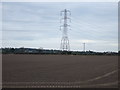 Farmland, Little Carlton