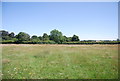 Farmland, Knockholt Pound