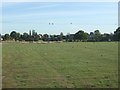 Farmland near Sutton Cum Lound