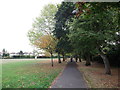 Path in Addiscombe Recreational Ground