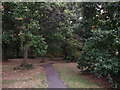 Path in Long Lane Wood