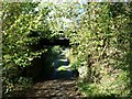 Railway Bridge, Low Wood Lane, Leyburn