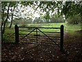 Entrance to field next to Godwinscroft road