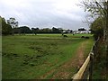 Green space next to A337 on northern edge of  Lyndhurst