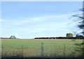 Farmland near Lodge Farm