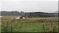 Silage stack