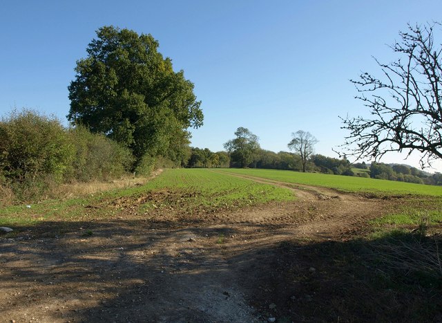 Field on Ockley Hill