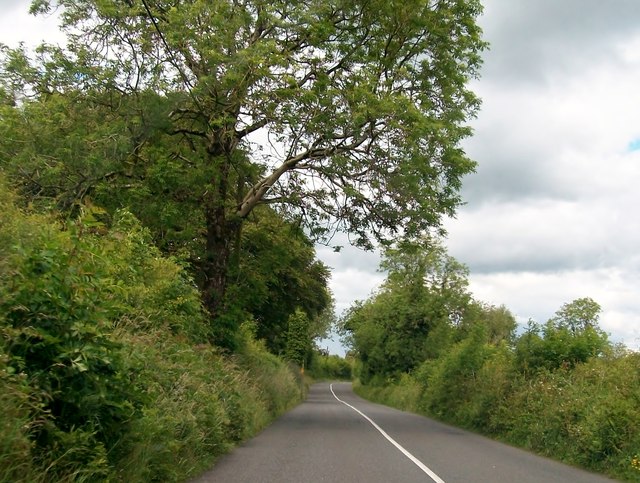 The R164 south of Drumbulrisk