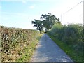 Bleak Hill, North End Lane