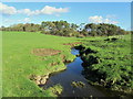 Ged Beck looking Downstream