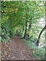 Ebor Way riverside walk towards Boston Spa