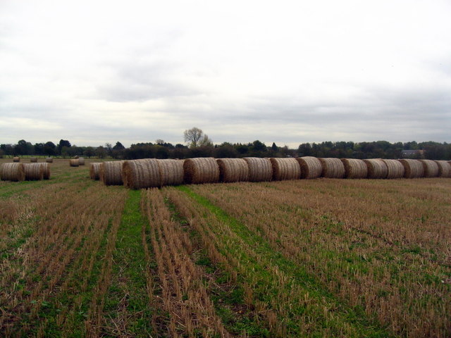 Field northeast of Egginton