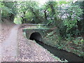 Monmouthshire & Brecon Canal: Cwmbran Tunnel (northern portal)