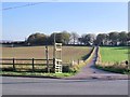 Farm road and footpath to Basfordbridge Farm