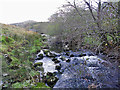 Afon Clywedog near Pont y Bylan