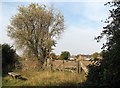 Old railway gate