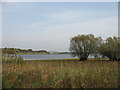 ST5660 : Chew Valley Lake and Woodford Lodge from Nunnery Point by David Purchase