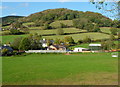 Monmouth : Hereford Road houses and a wooded hillside