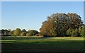 Field near Kenley