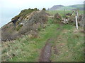 Old field boundary on the Ceredigion Coast Path