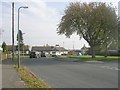 Beech Grove - looking towards Finkle Hill