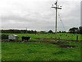 Fields south of Norbury Brook