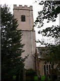 SX8767 : Kingskerswell church tower from the south by Shazz