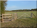 Footpath, Oakley Green