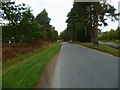 Road north from Buller