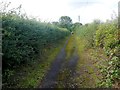 Track to the Old Sewage Works