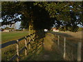 Footpath towards Crouch Lane