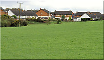 J5174 : Houses and fields, Newtownards by Albert Bridge