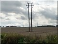 SK6881 : Lined up telegraph poles near Babworth Home Farm by Christine Johnstone