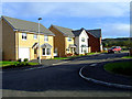 New houses at Hill Farm estate