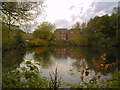 Reservoir at Swan