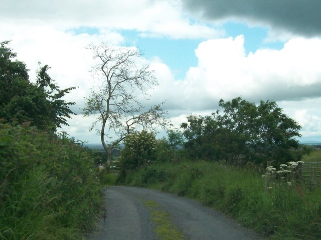Narrow lane leading to the Sliabh na Caillí tombs