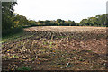 Broadclyst: stubble field