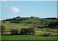 Whitfield Dairy Farm from Bentgate