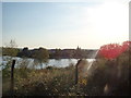 View of Thamesmere from the Thames Path