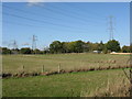 Power lines off Hillditch Lane