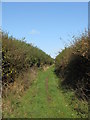 Public footpath off Charlton Lane