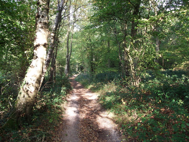 Vanguard Way in Selsdon Wood (2) © David Anstiss :: Geograph Britain ...