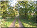 The driveway to Rookery Farm