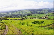 R6372 : Fields seen from the Killaloe to Kilbane road by P L Chadwick