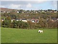 Bardon Mill