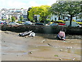 Egret at Kingsbridge