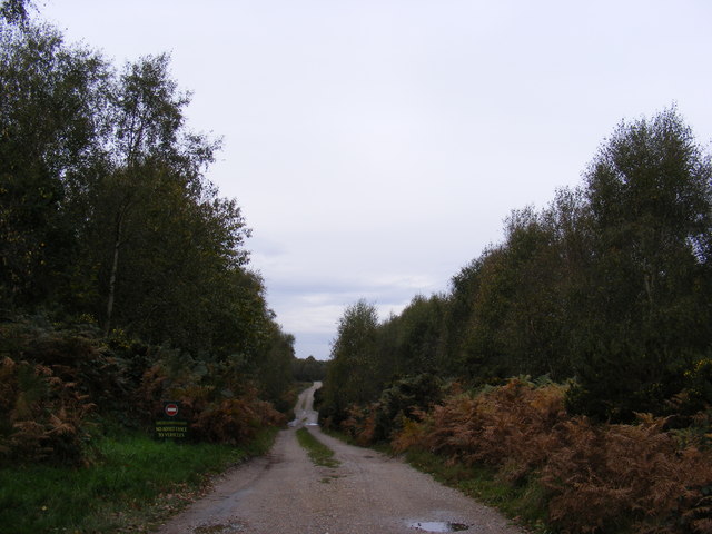 Footpath to Heath Cottages & Forestry Commission Road into Tunstall Forest
