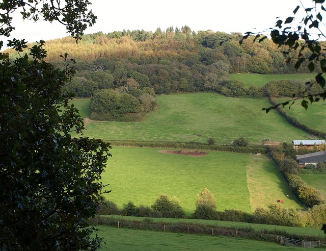 Across the valley near Harcombe